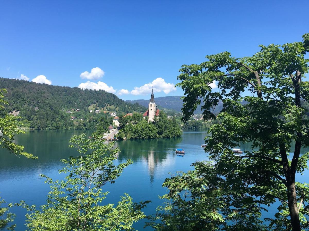 Sobe Brezje住宿加早餐旅馆 外观 照片